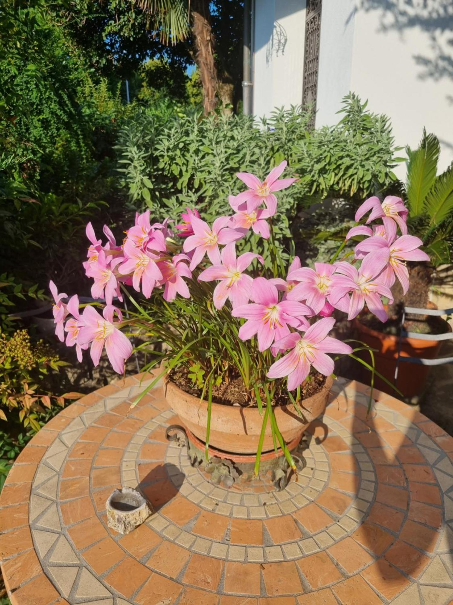 Curno B&B Fontanella מראה חיצוני תמונה