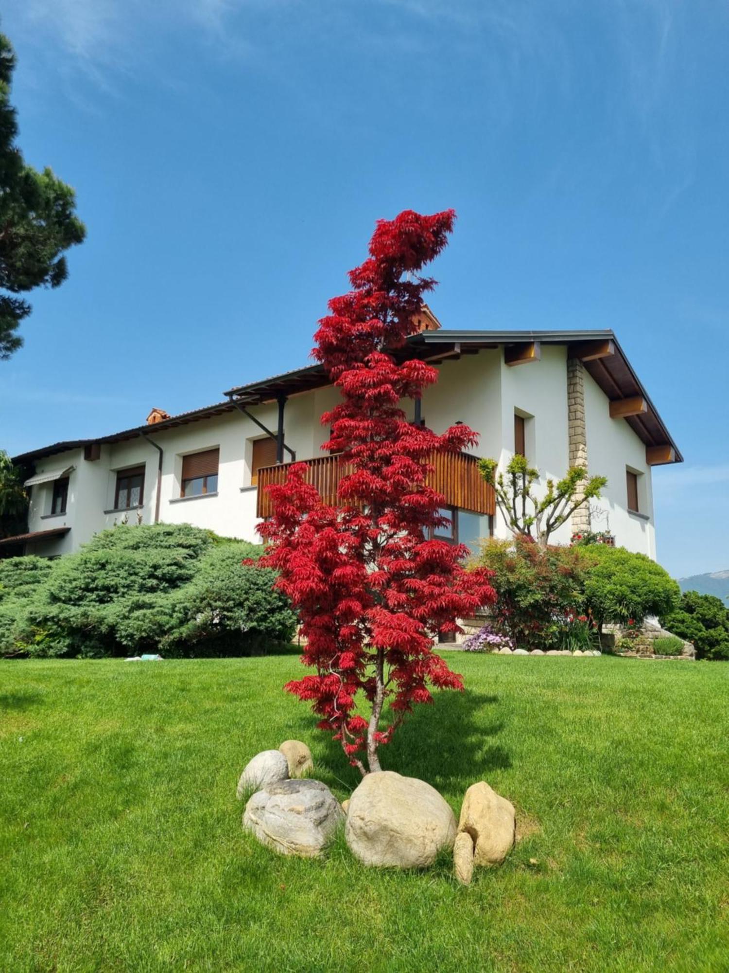 Curno B&B Fontanella מראה חיצוני תמונה